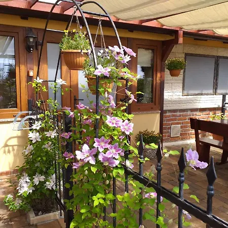 Appartement Monte App 2